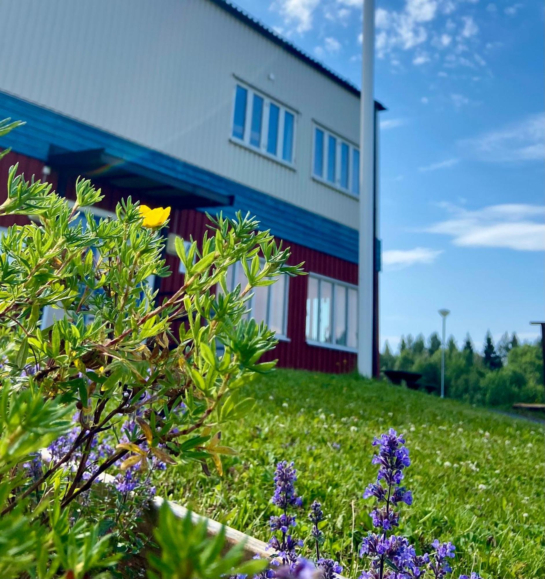 Naeskottshallen Nalden Kültér fotó